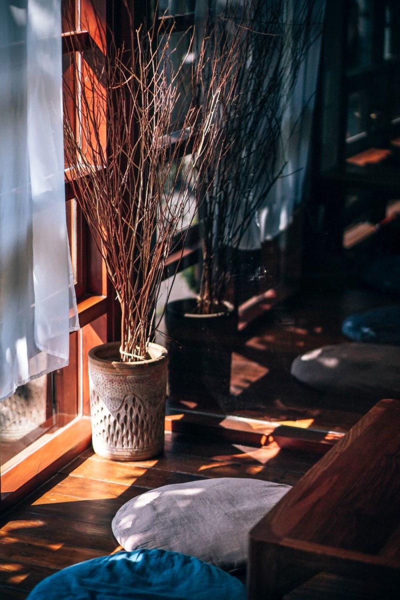 Dried Flowers in a Decorative Vase Placed by the Window