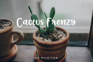 Cactus Frenzy photo pack 1