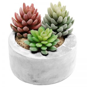 Gray Cement Modern Circular Succulent Pot Planter