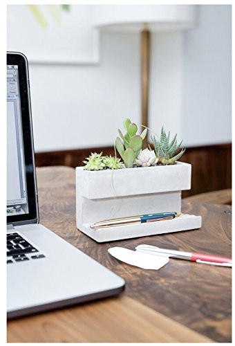 Kikkerland Concrete Desktop Planter-LARGE