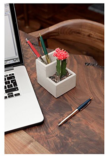 Kikkerland Concrete Desktop Planter-SMALL