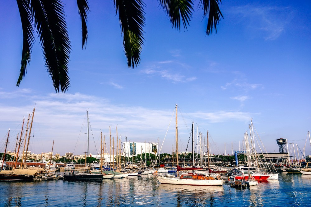 Barcelona Marina on a Sunny Day Photographed Behind Palm Tree Leaves