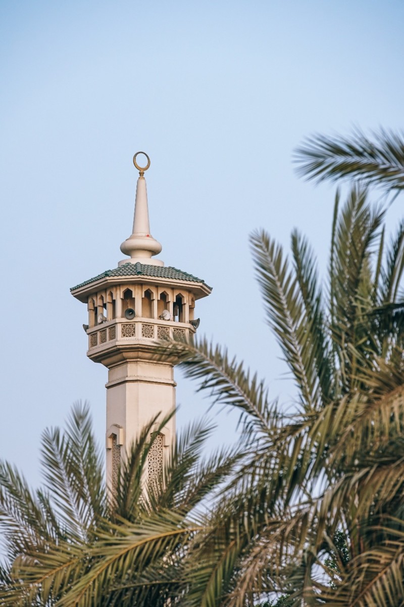 Government Building in Dubai Photographed behind Palm Trees