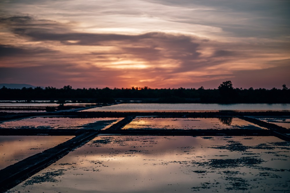 Beautiful Salt Fields in Cambodia during Sunset