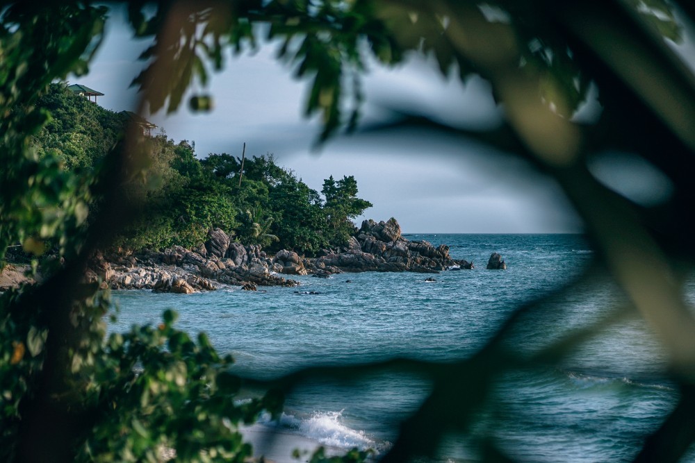 Secret Beach in Thailand Seen Through Tropical Leaves