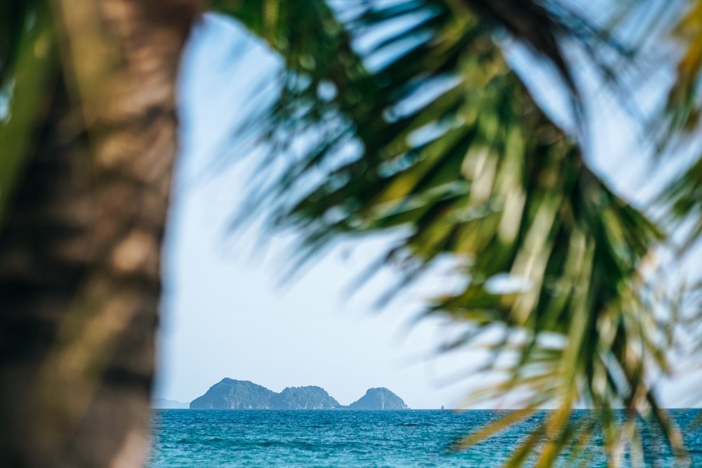 Three Islands Photographed Behind a Palm Tree