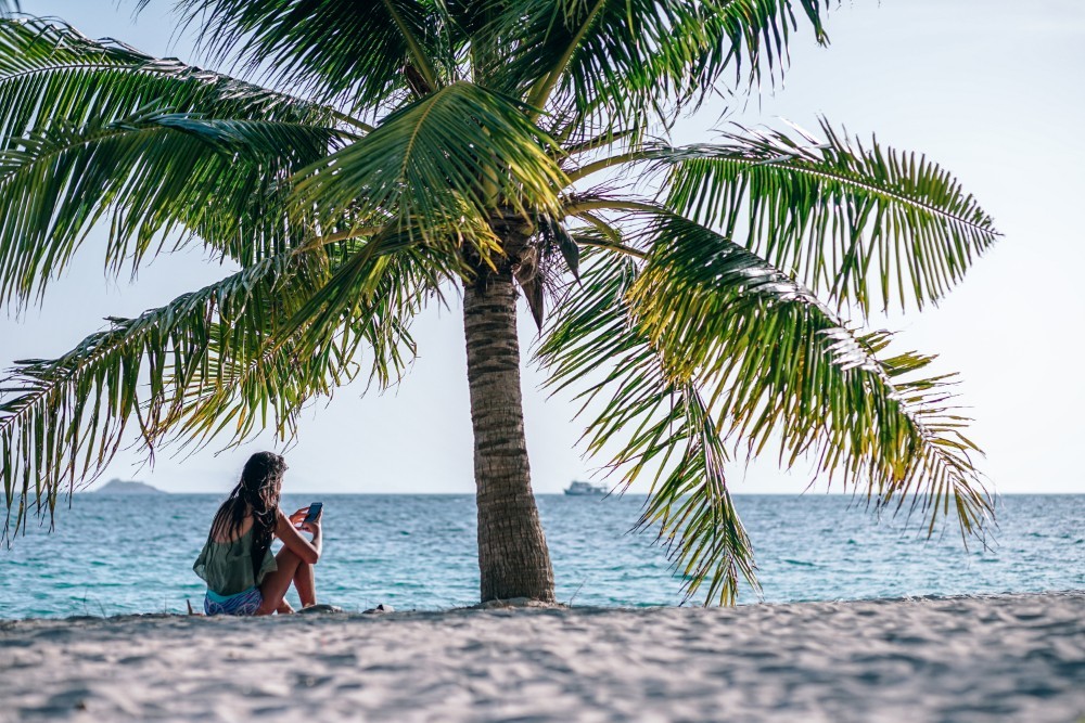 Young Woman Using Her Cell Phone on the Beach below a Palm Tree