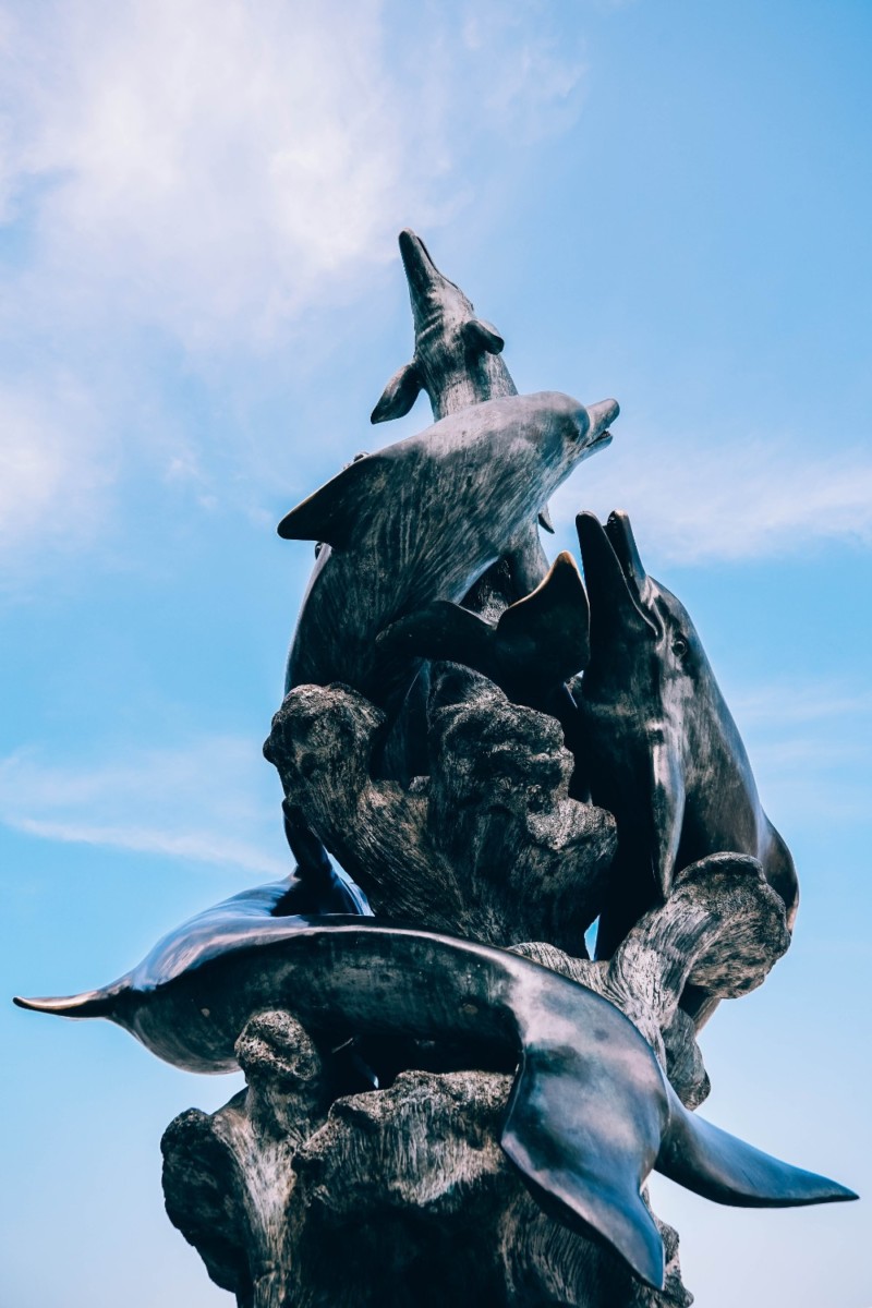 Close-up Shot of a Dolphins Statue