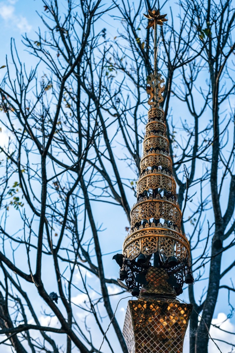 Golden Tip of Doi Suthep Temple with Bare Trees in the Background