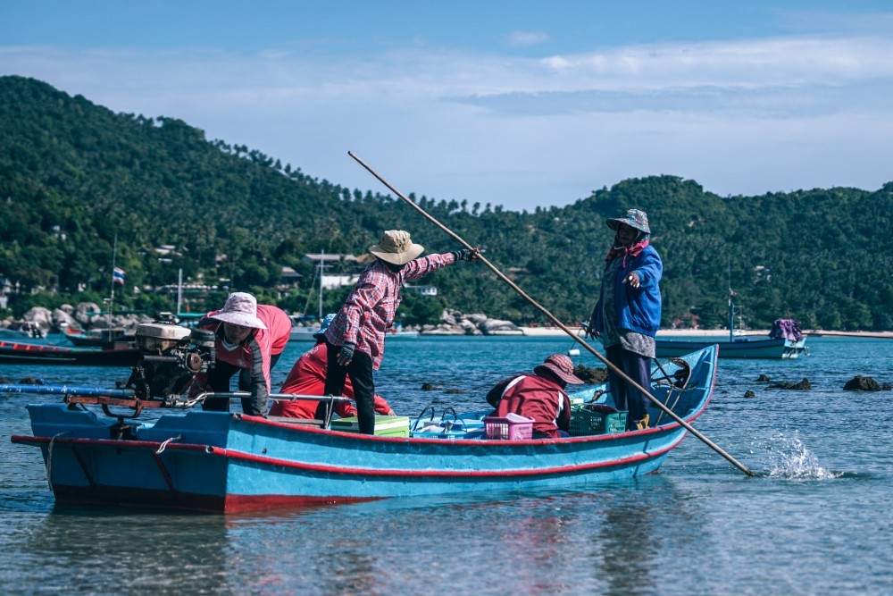 Thailand Fishing Crew Catching Fish