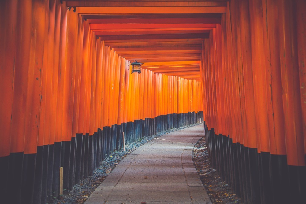 The Amazing Torii Gates at the Fushimi Inari Taisha