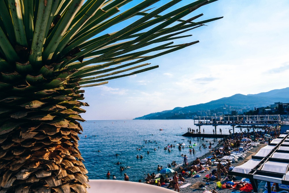 The Beach in Yalta Photographed Behind a Palm Tree