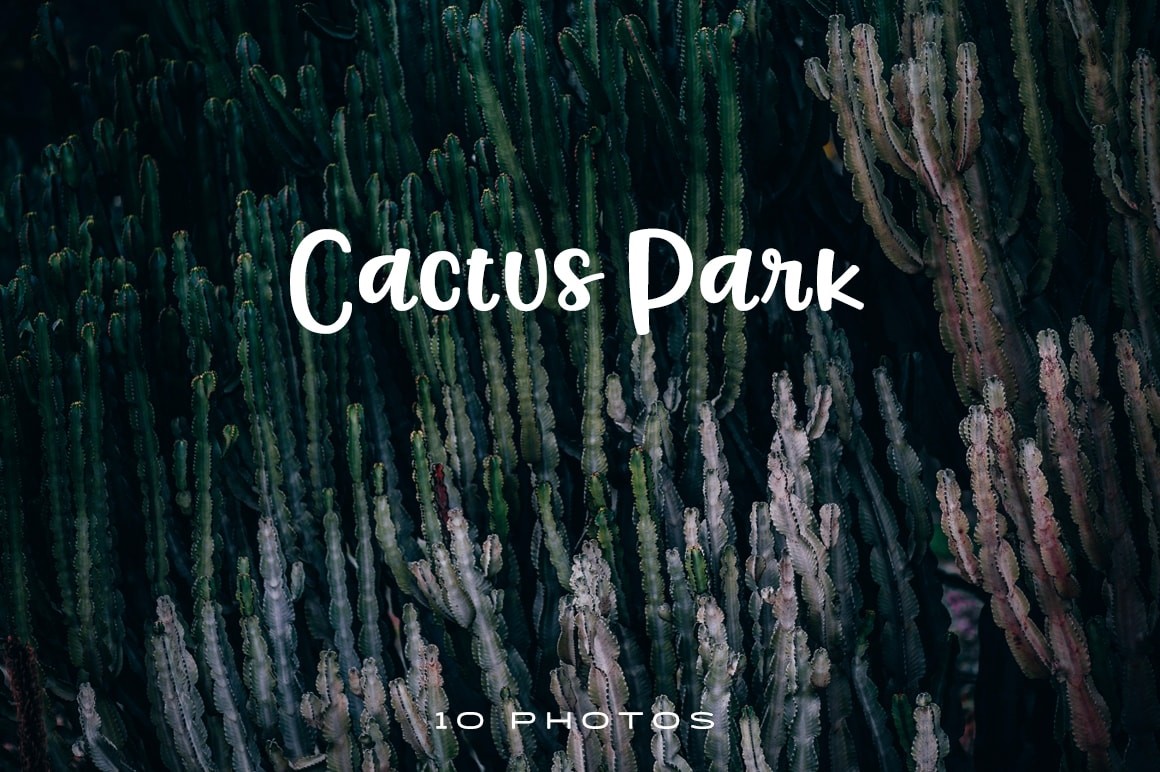 Cactus park