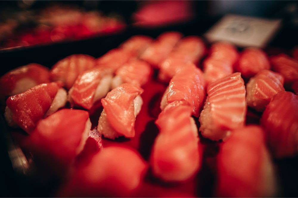 Close up Shot of Salmon Sushi