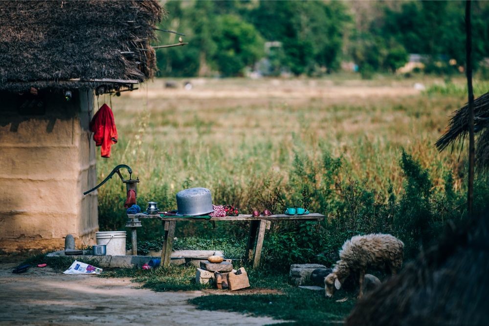 Goat Eating Grass Next to Water Pump