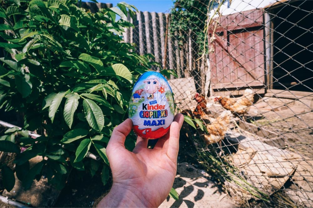 Holding a Kinder Surprise Egg in front of a Chicken Coop