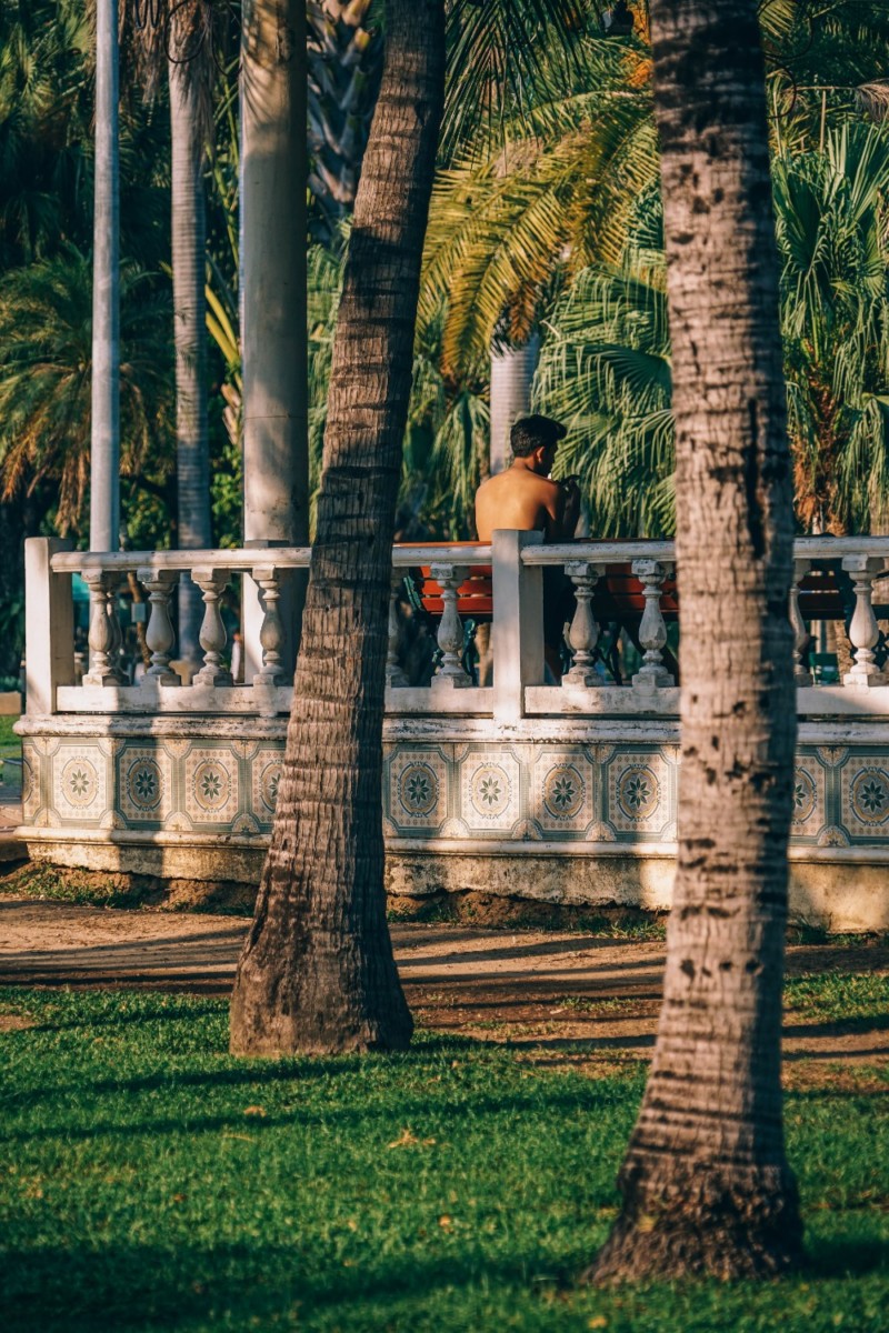 Man Talking on the Phone while Enjoying the Sunshine in Lumphini Park Bangkok