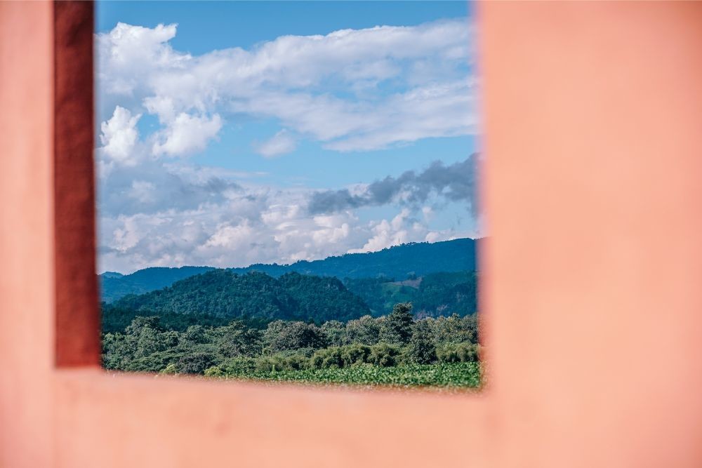 The Choui Fong Tea Plantation Photographed Through a Window