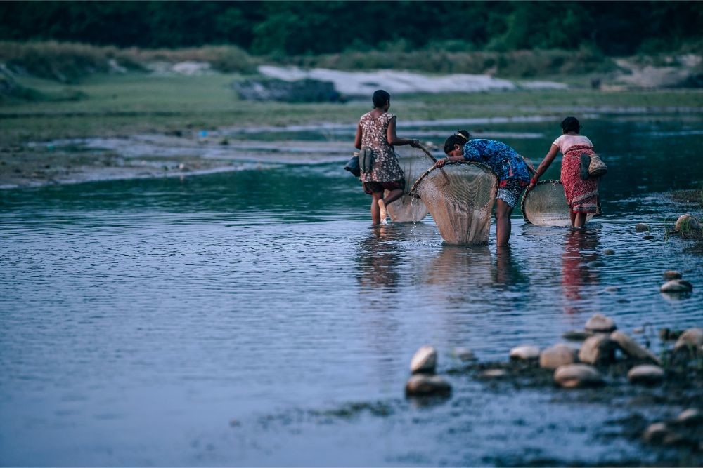 Three Nepali Women Catching Fish in a Small River