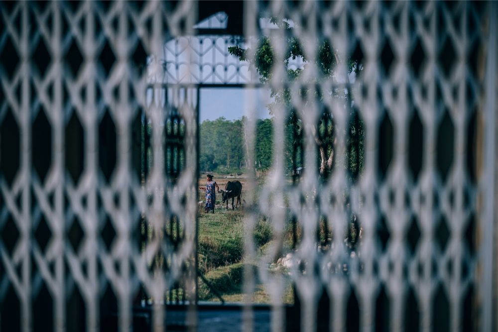 Woman Walking a Cow Photographed Through a Metal Fence