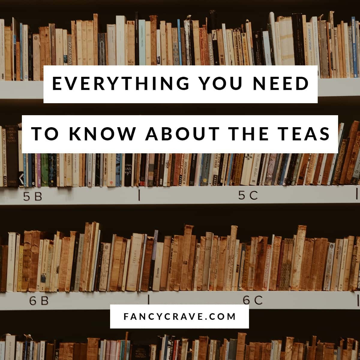 Everything You Need To Know About The TEAS