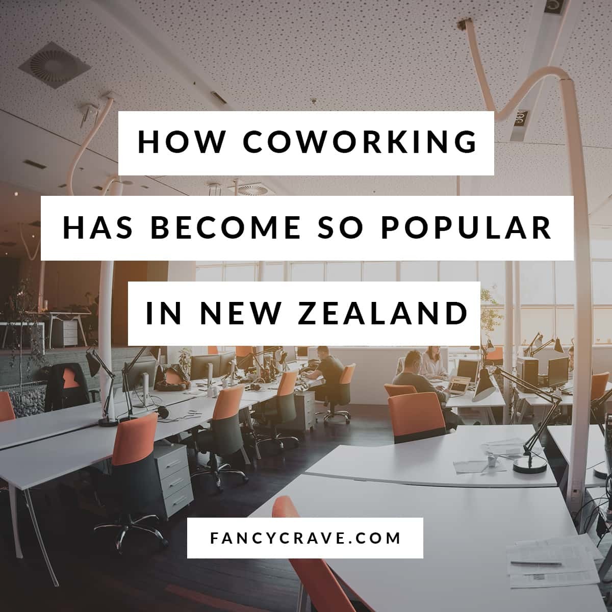 How Coworking Has Become So Popular in New Zealand