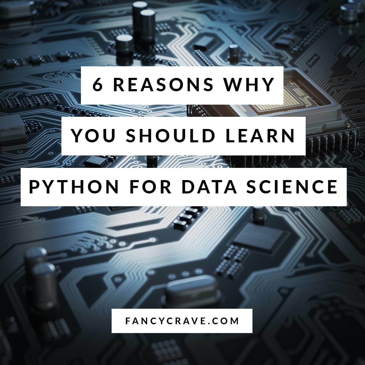 Reasons Why You Should Learn Python for Data Science