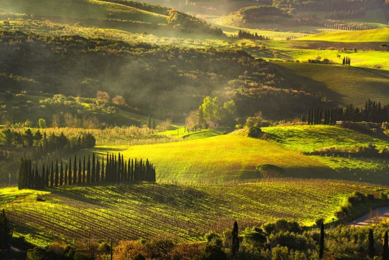 maremma countryside sunrise foggy landscape PPDSPSY