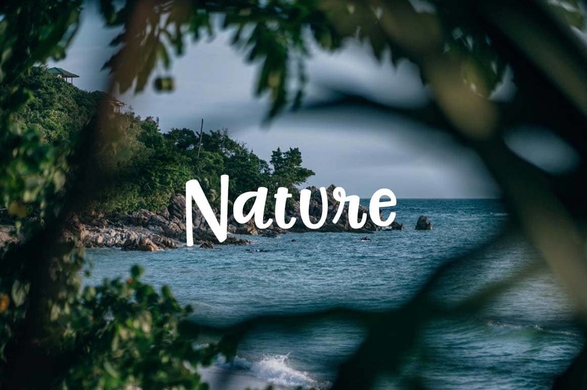 Free Nature Pictures