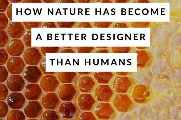 How Nature Has Become a Better Designer Than Humans
