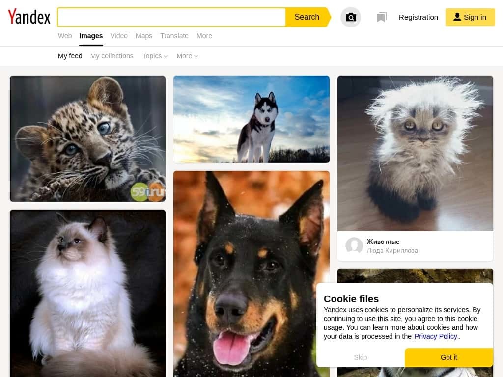 Yandex Image Search min