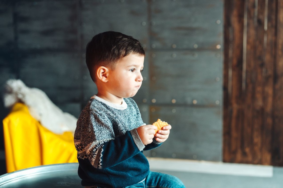 little boy eating delicious cookies PGQM