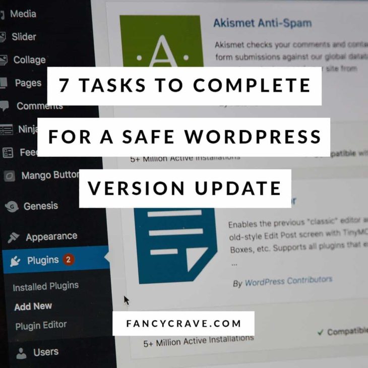 Safely Update Wordpress