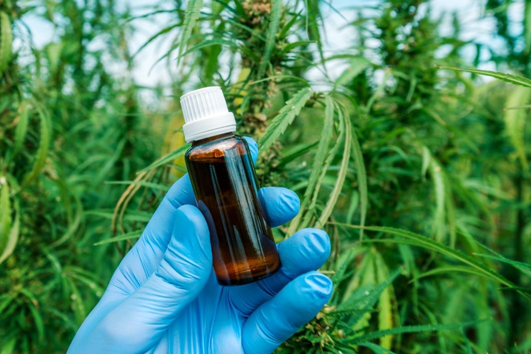 scientist holding cbd cannabis oil bottle close MUEACJ