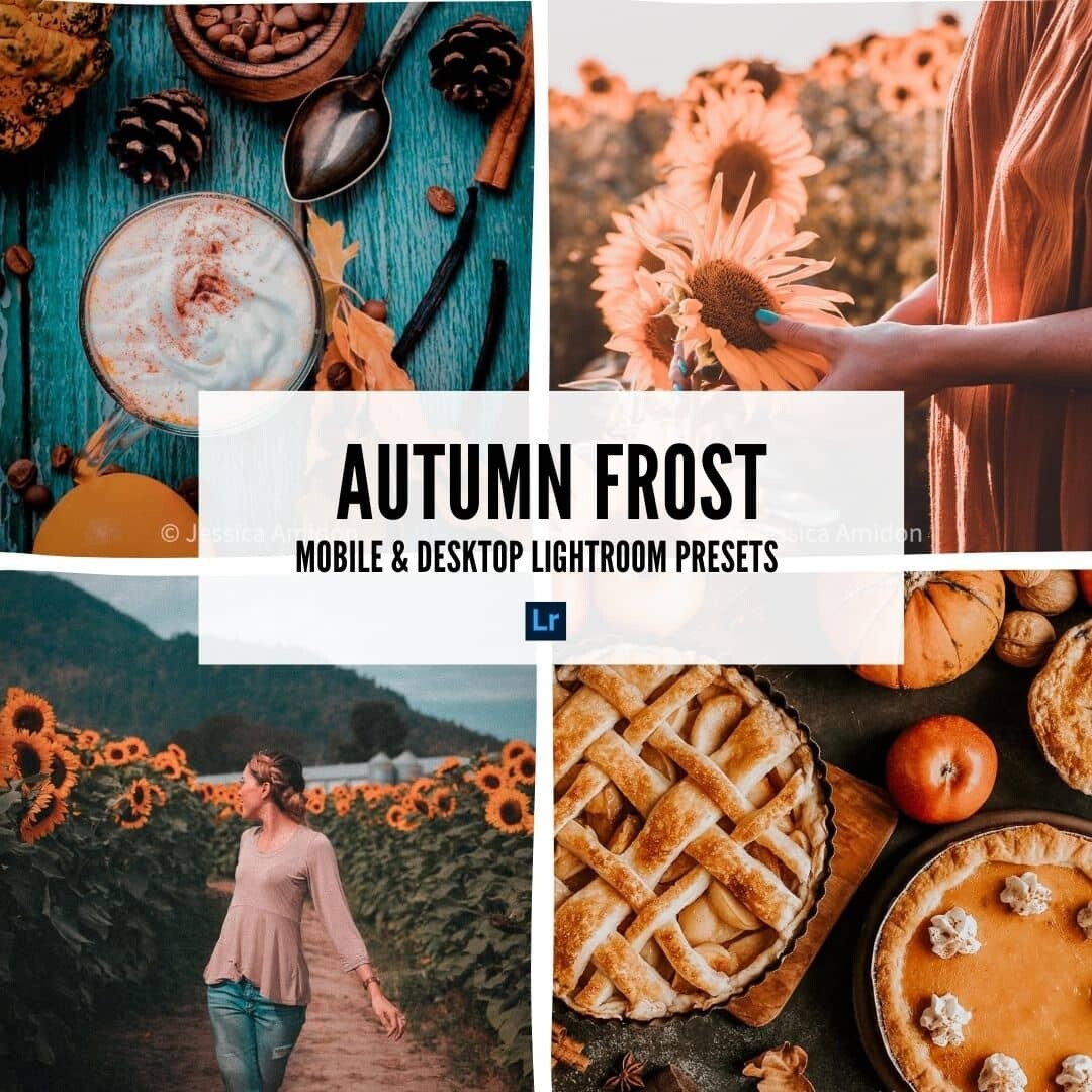 1 023 Free Adobe Lightroom Presets Fancycrave