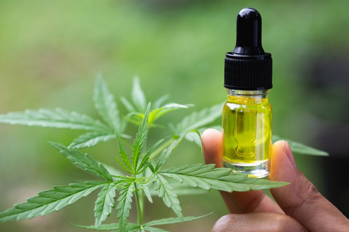 Things You Need To Know About CBD Oil for Dogs