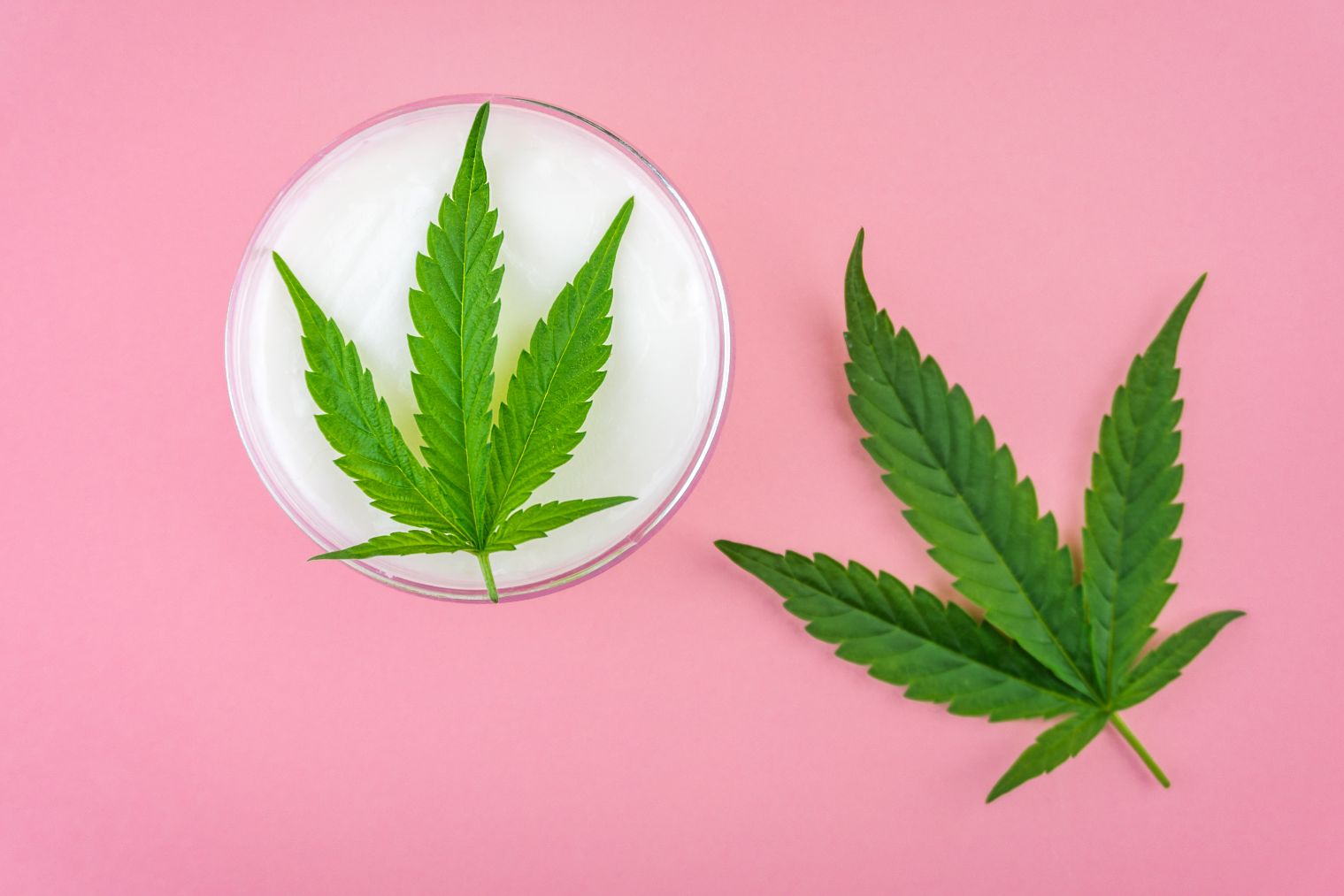 What Are Cannabis Dispensaries in the US in 2022?