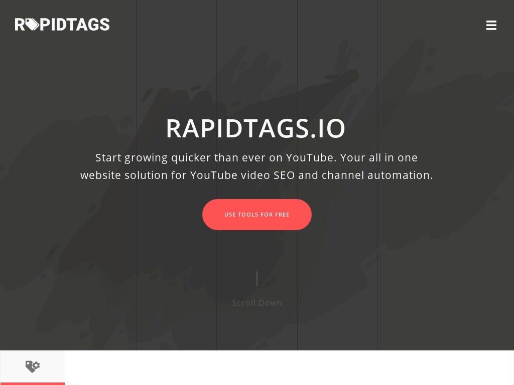 rapidtags io