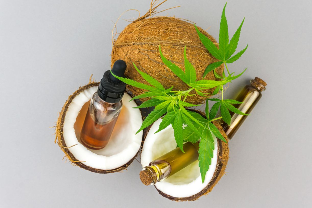 cbd oil and coconut UFEYP