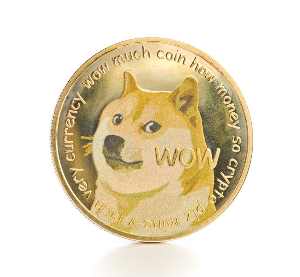 the golden dogecoin PFKHMW